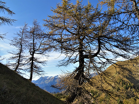 Anello del PIZZO BADILE (2044 m) da Piazzatorre l’8 ottobre 2020 - FOTOGALLERY